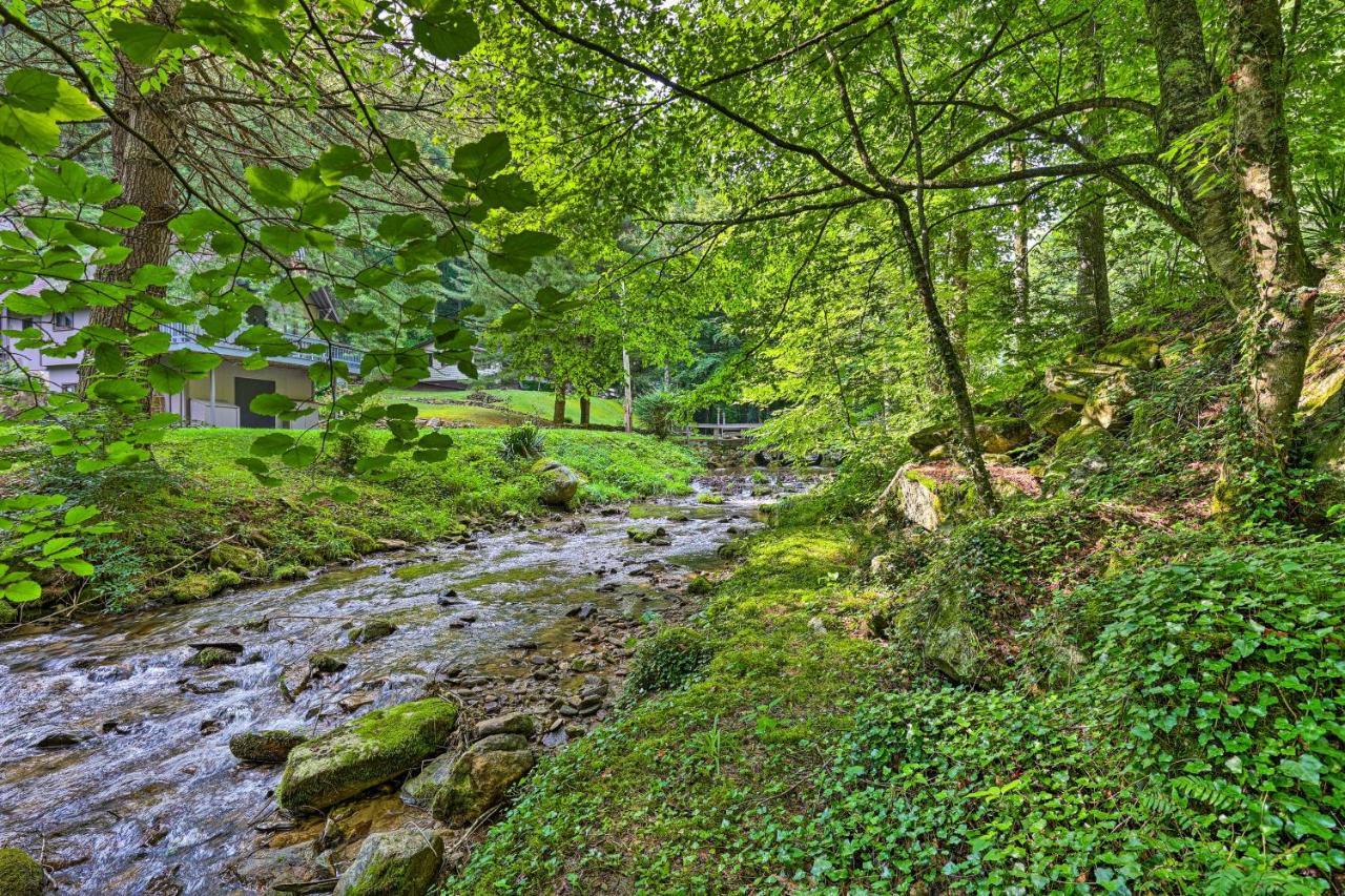 Chalet Retreat Cozy Cabin With On-Site Creek! Villa Roan Mountain Esterno foto